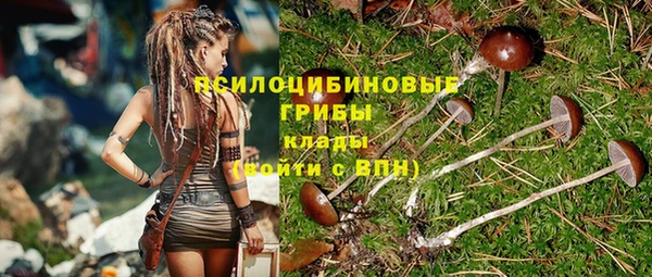 соль курить ск Бородино