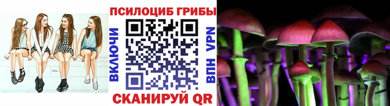 Псилоцибиновые грибы Cubensis  купить наркотик  Джанкой 